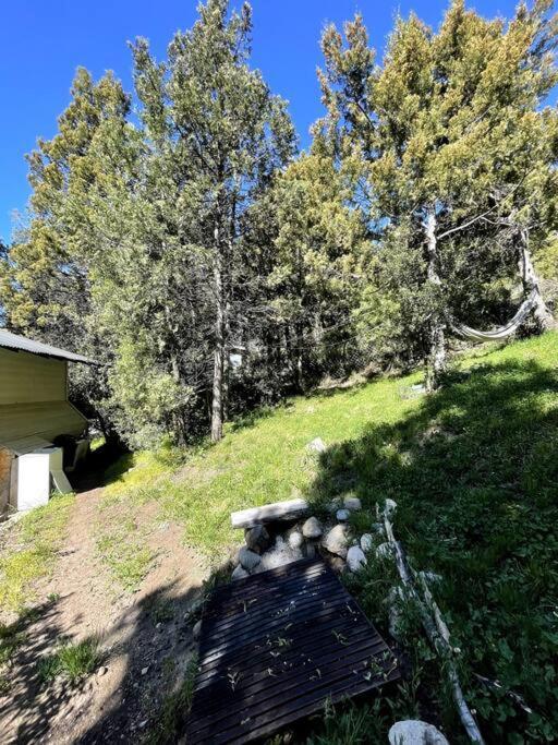 Apartamento Huillin, Experiencia Unica Del Bosque