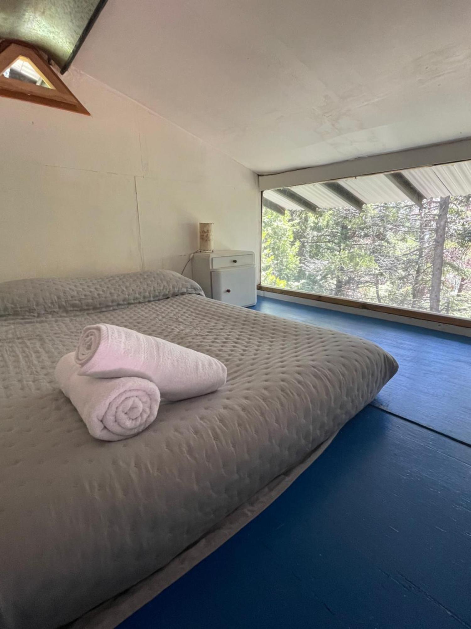 Huillin, Experiencia Unica Del Bosque Apartamento *