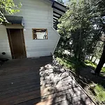 Cabana Huillin, Experiencia Unica Del Bosque