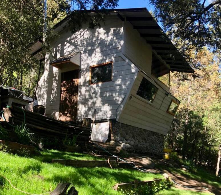 Apartamento Huillin, Experiencia Unica Del Bosque